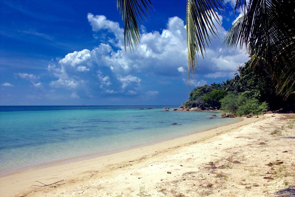 The Green Palm Ko Pha Ngan Bilik gambar